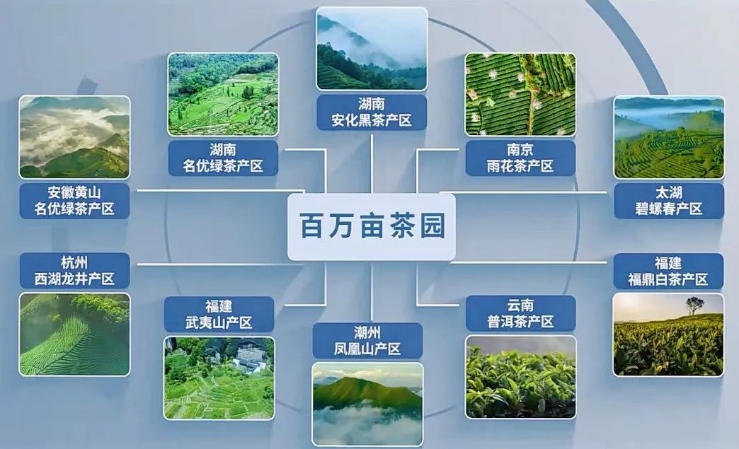 7月银川这场盛会，或将揭示消费信心深层密码