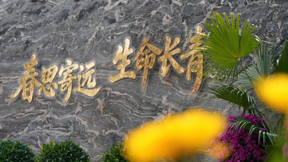 新华网民生观察丨生态安葬，从被动接受到主动预约