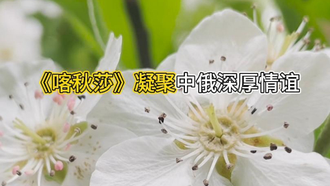 《喀秋莎》凝聚中俄深厚情谊