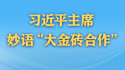 习近平主席妙语“大金砖合作”