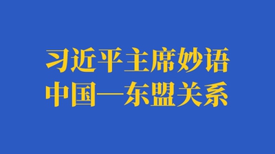 习近平主席妙语中国—东盟关系