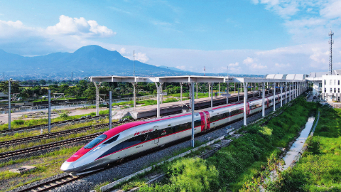 走和平发展道路的现代化
