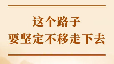 这个路子要坚定不移走下去
