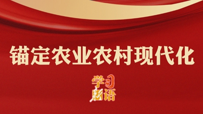锚定农业农村现代化