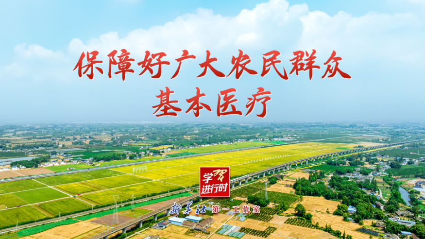 保障好广大农民群众基本医疗