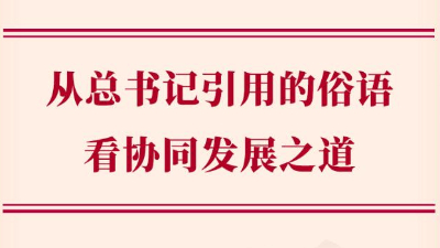 从总书记引用的俗语看协同发展之道