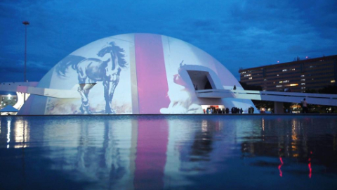 文化为桥 中巴友谊双向奔赴