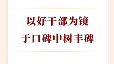 以好干部为镜，于口碑中树丰碑
