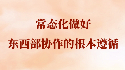 常态化做好东西部协作的根本遵循
