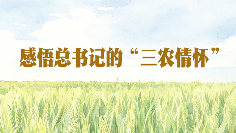 感悟总书记的“三农情怀”