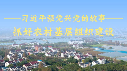 抓好农村基层组织建设