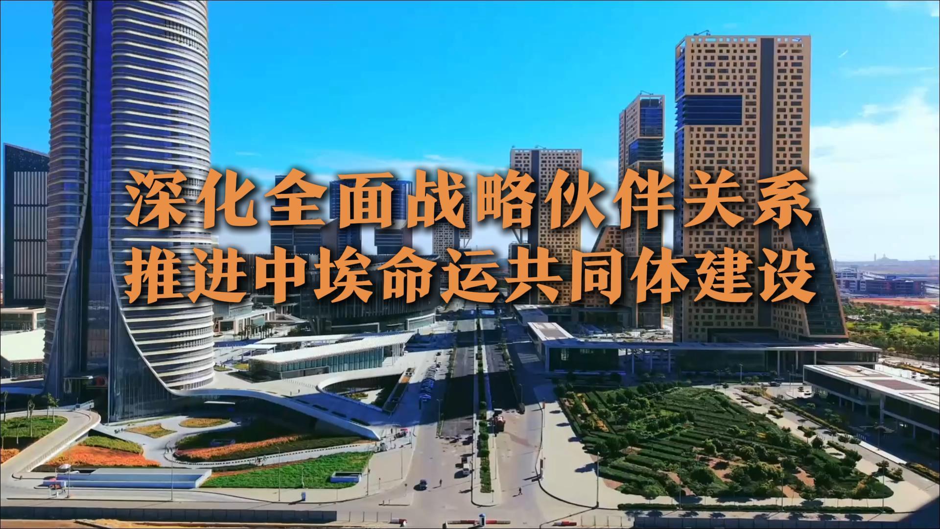 深化全面战略伙伴关系 推进中埃命运共同体建设