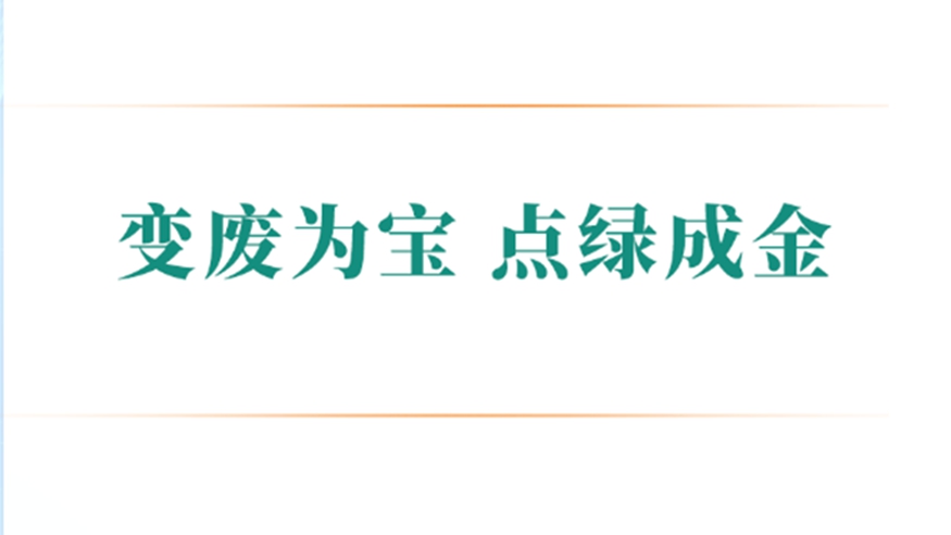 变废为宝 点绿成金